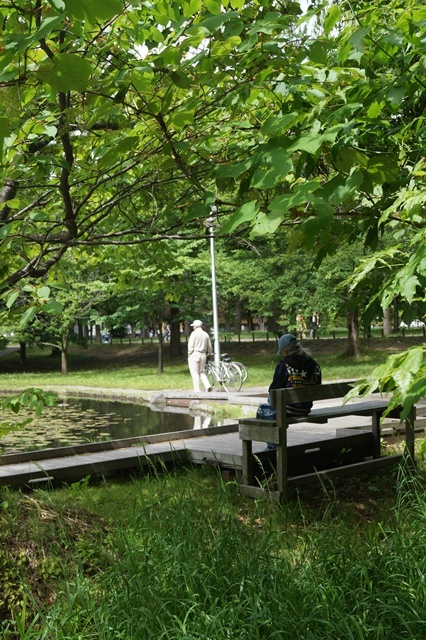 d0181492_17435223.jpg