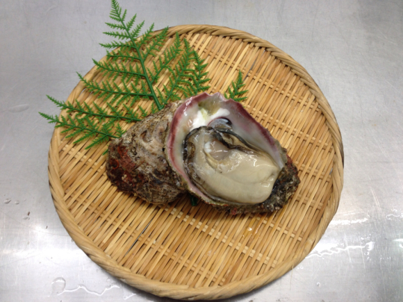 岩牡蠣はじめましたー☆_d0235898_13260925.jpg