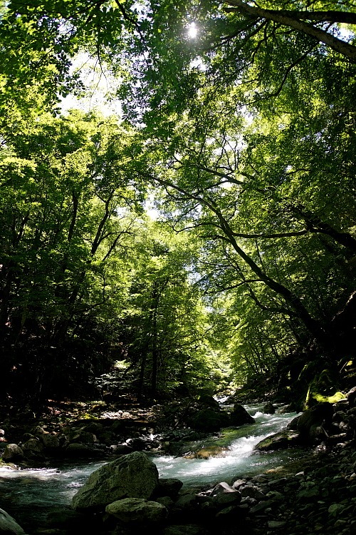 c0339900_10543042.jpg