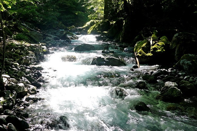 c0339900_912228.jpg