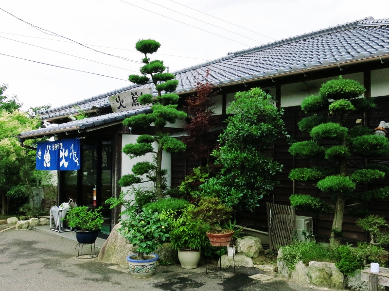 呼子・いか活き造り_b0083801_252998.jpg