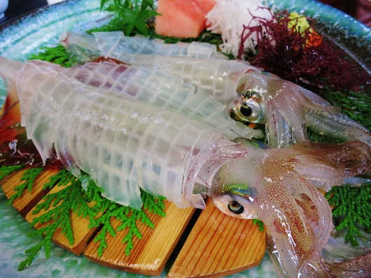 呼子・いか活き造り_b0083801_29627.jpg