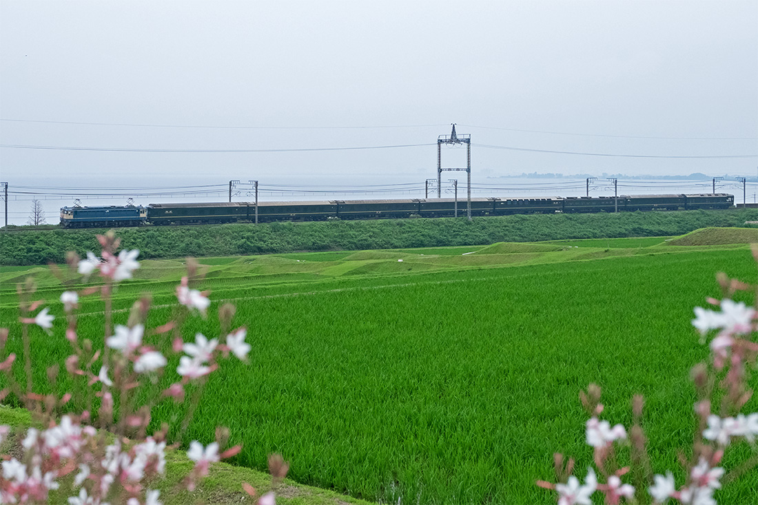 b0221605_10234630.jpg