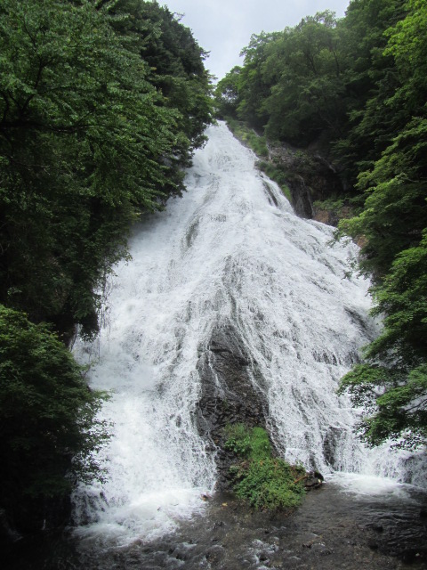 a0100706_16352516.jpg