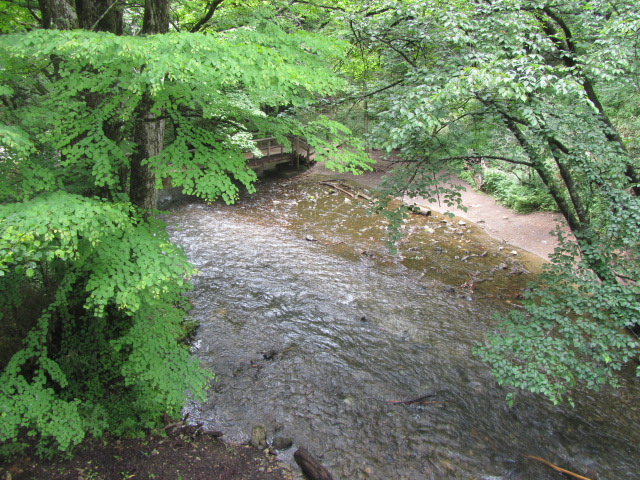a0100706_1637319.jpg