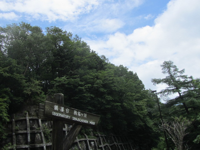a0100706_16393777.jpg