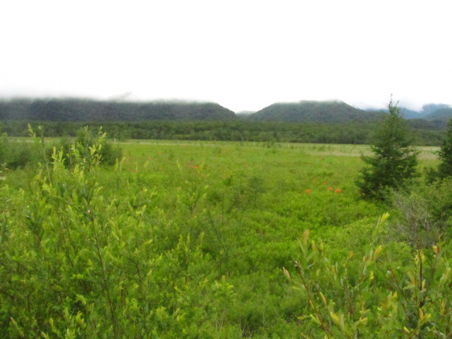 a0100706_16425673.jpg