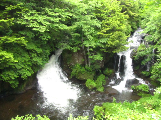 a0100706_16433091.jpg