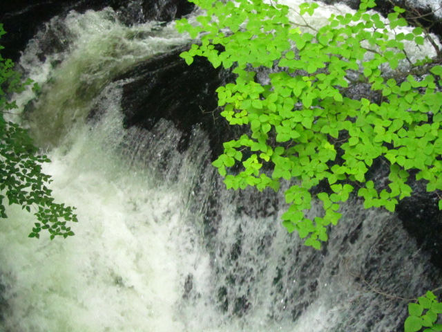 a0100706_16443547.jpg