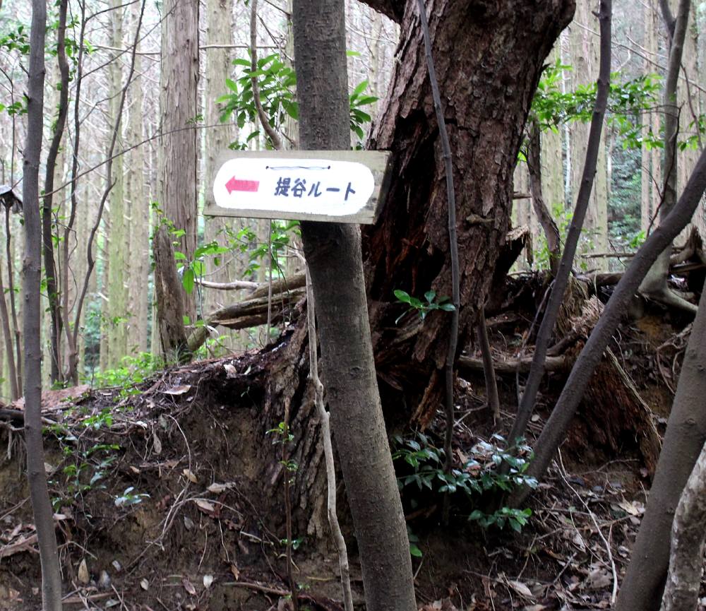 宝満山の裏登山道_f0212511_17455784.jpg