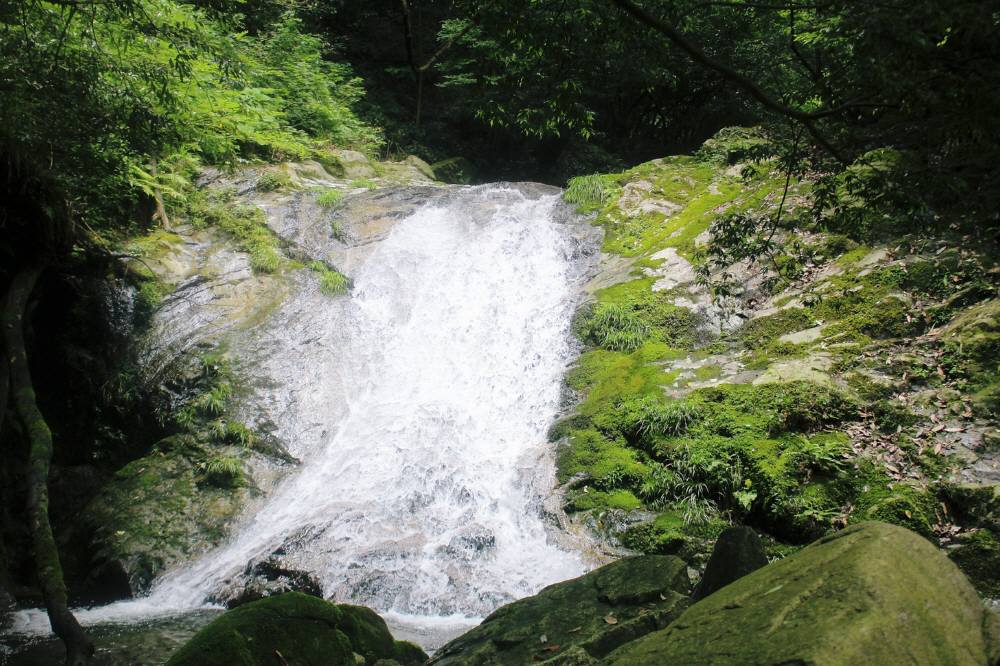 宝満山の裏登山道_f0212511_17475814.jpg