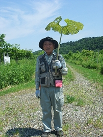 平成２７年７月１１日（土）　新山川草木　22世紀の森　天候：快晴　参加：１１名_c0173813_20374952.jpg