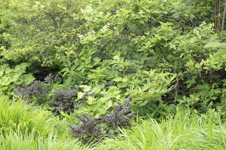 e0211213_15291136.jpg
