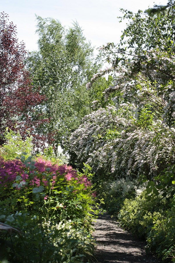 e0211213_63092.jpg