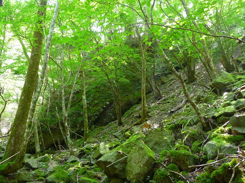 f0182513_2052310.jpg