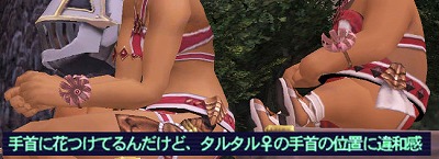 肌はハムのように太く_d0039216_20181394.jpg