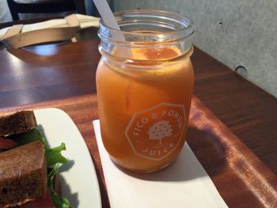 低速ジューサーでお野菜摂取!コールドプレスジュースを家で作ってみた_d0285416_18271620.jpg