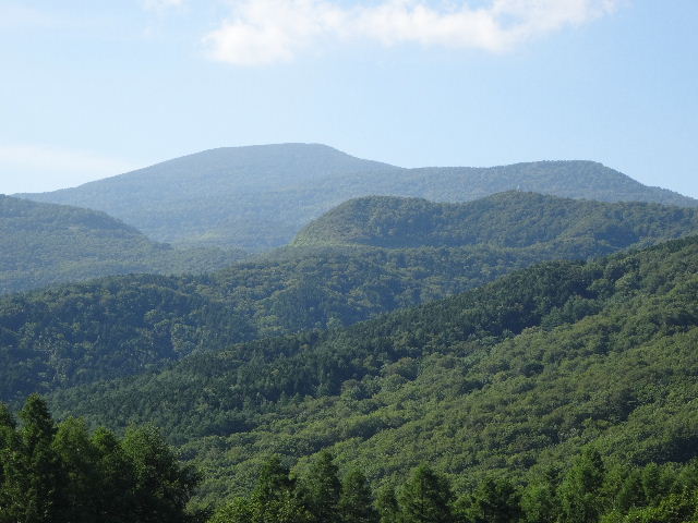 東吾妻山でもワタスゲを愛でる_c0141223_12115471.jpg