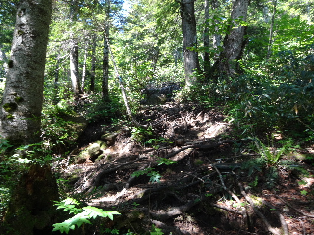 c0141223_12223036.jpg