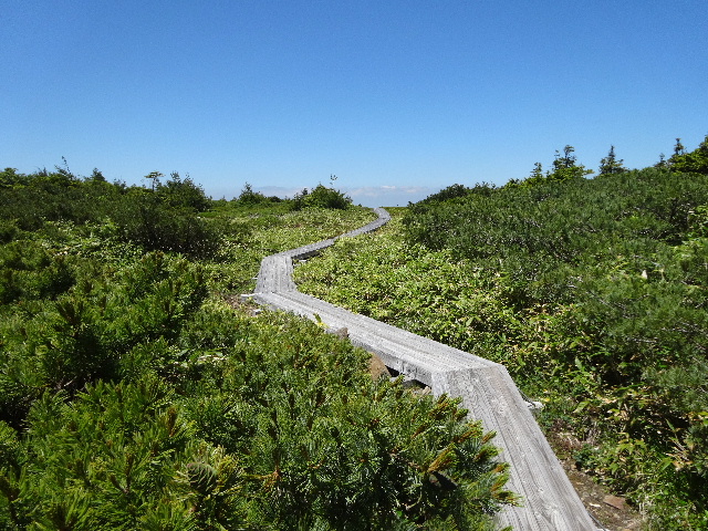 c0141223_1247441.jpg