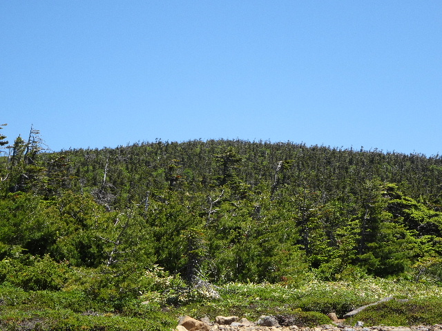 c0141223_1252392.jpg