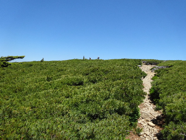 c0141223_12554549.jpg