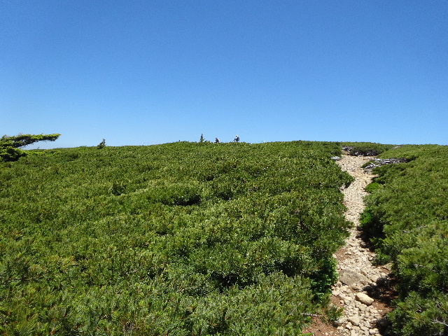 東吾妻山でもワタスゲを愛でる_c0141223_12554549.jpg