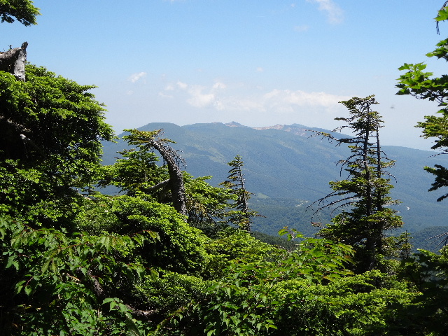 c0141223_14413914.jpg