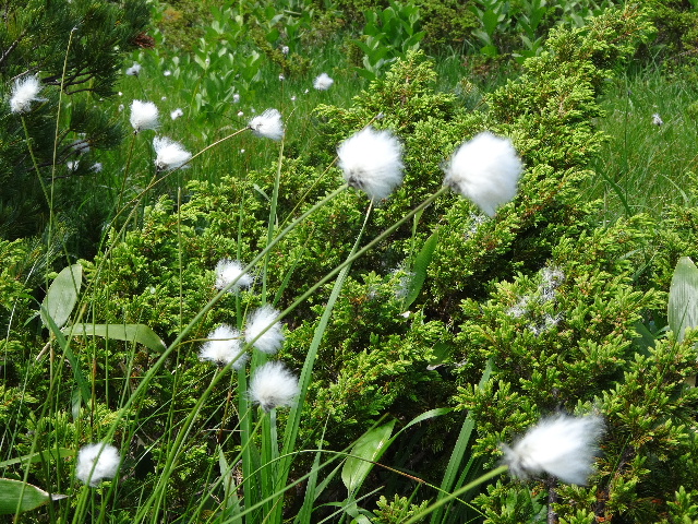 c0141223_14435330.jpg