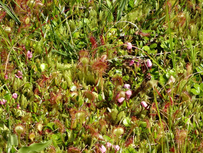 c0141223_14585096.jpg