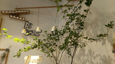 f0332323_1831415.jpg