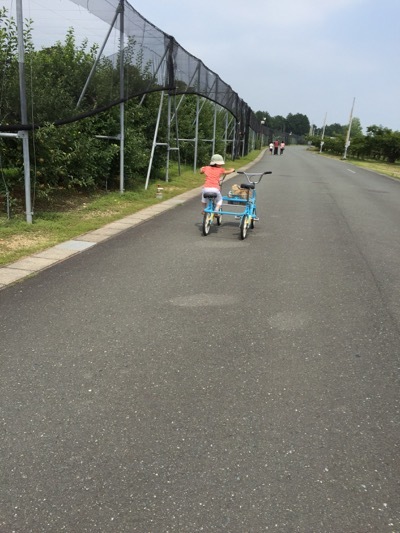 浜松フルーツパークで母子の休日_a0284626_18254155.jpg