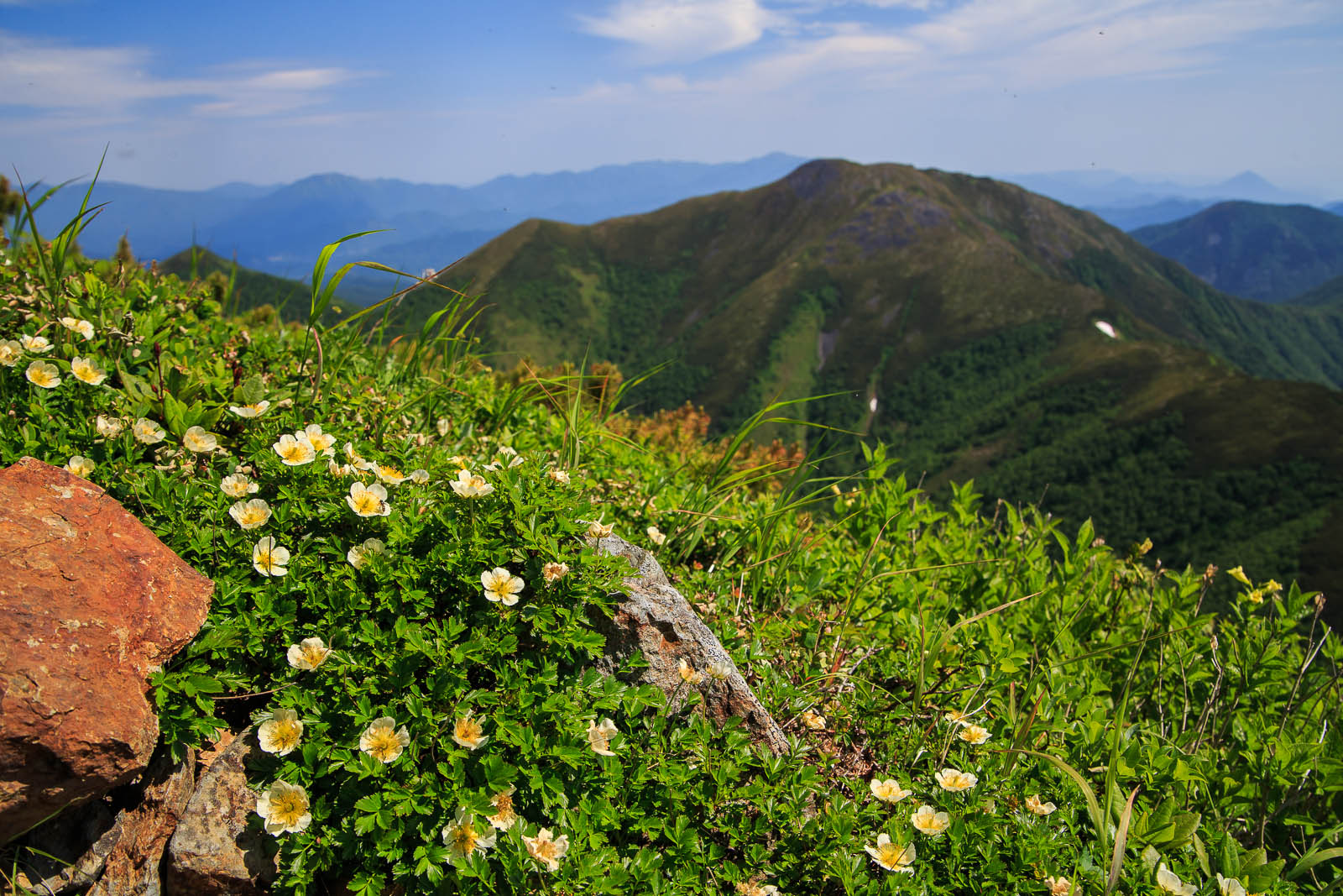 b0243727_21393291.jpg