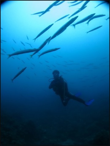 ７月１２日海も透明度も回復中_c0070933_23145548.jpg