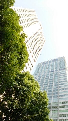 e0305834_17374947.jpg