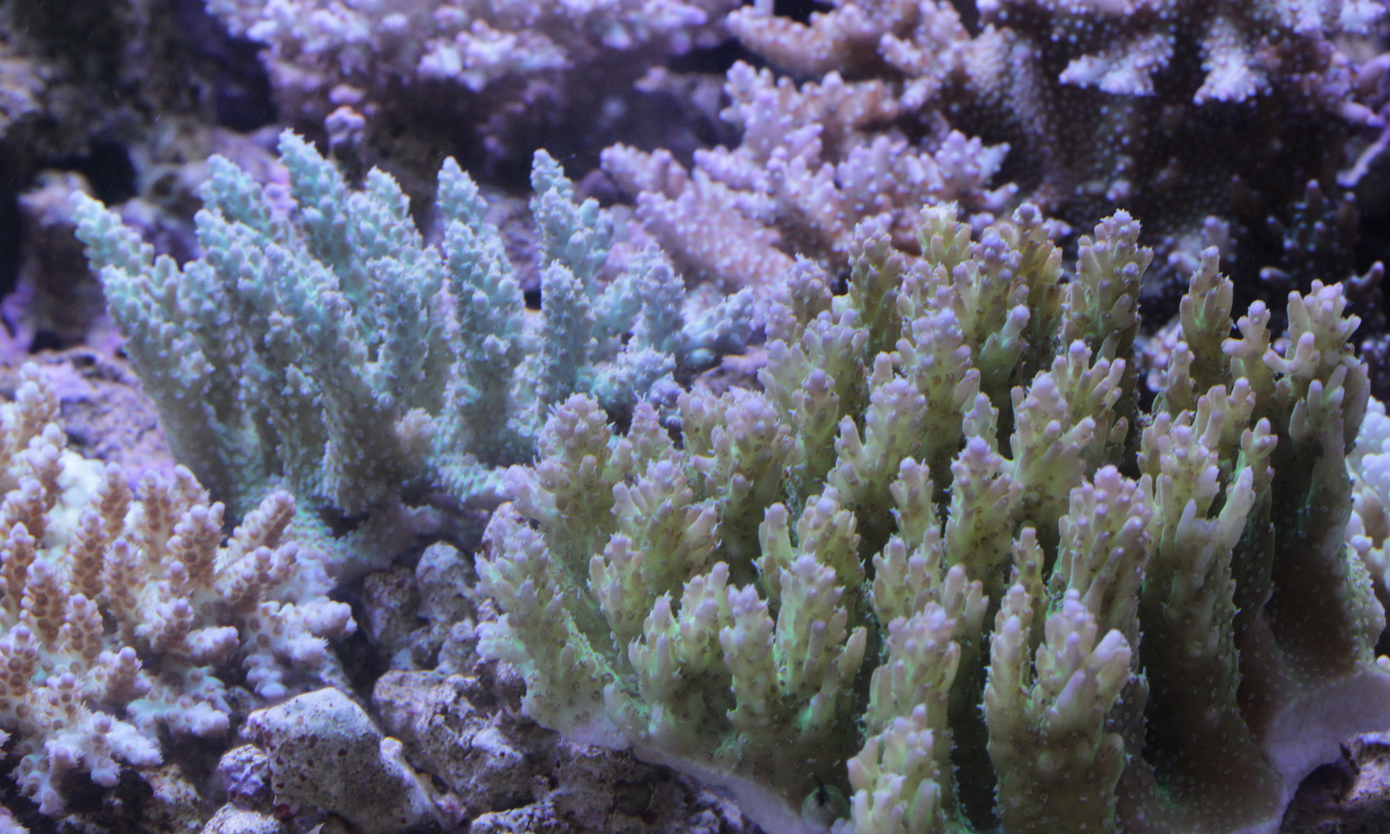 d0221436_195434.jpg