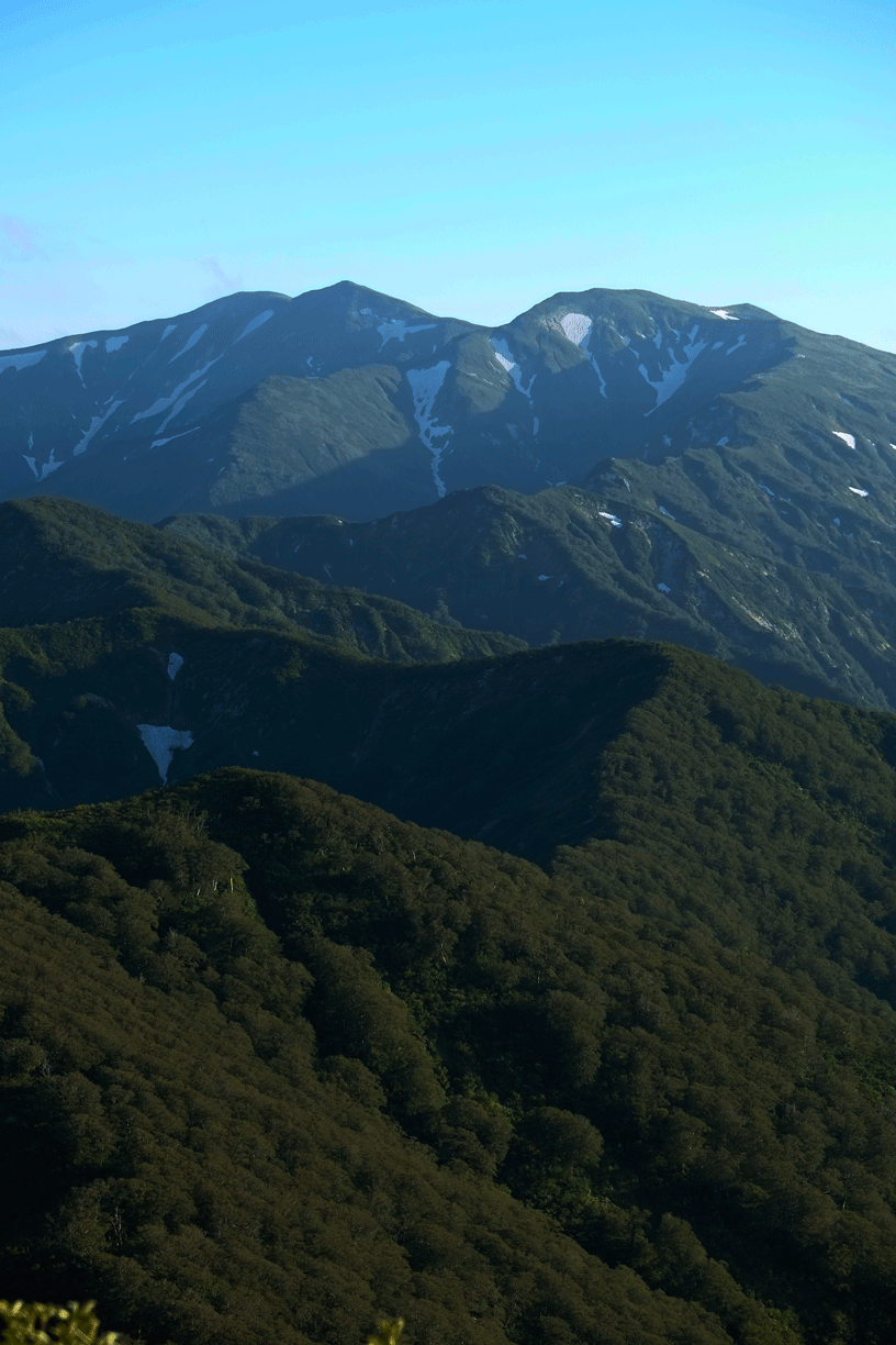 d0237340_07361223.gif