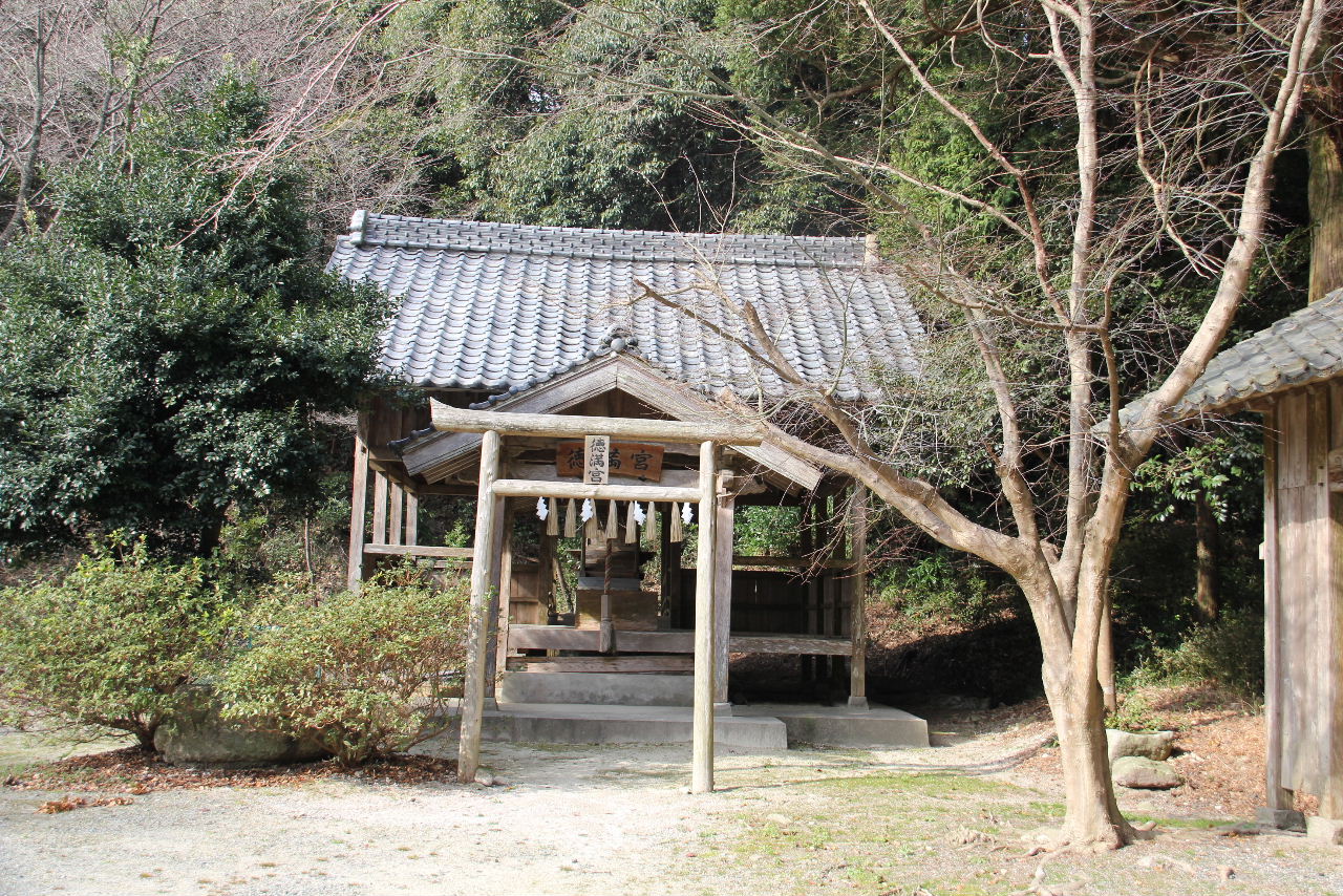 【高祖神社】 神功皇后が三韓より凱旋の後、社殿を御建立_c0011649_0514732.jpg