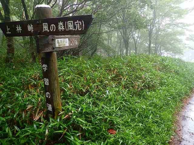 愛媛の名山、皿ケ嶺。_d0080249_20212527.jpg