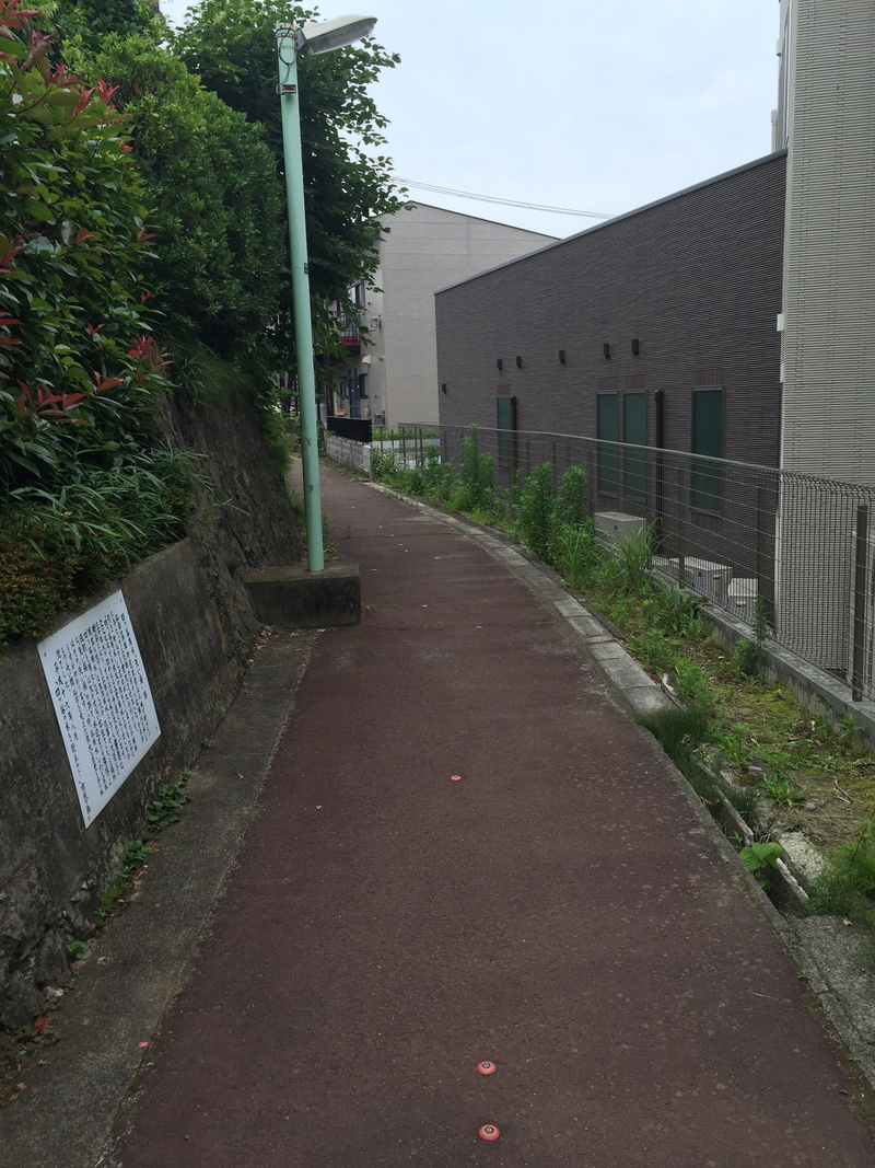 「ブラタモリ」で土橋通りの由来や当院裏の四ツ谷用水が紹介されました!_a0119856_21135677.jpg