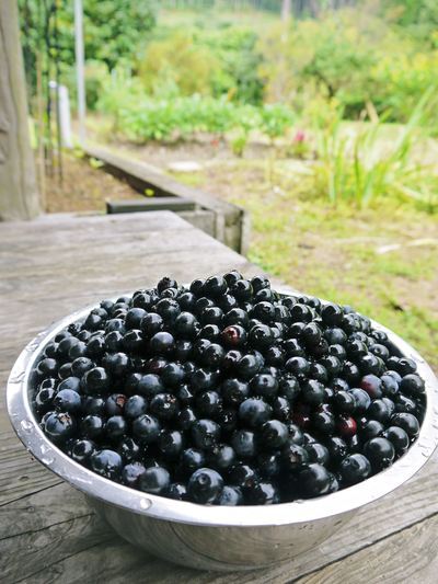 田舎暮らしをしながら最旬食材を全国のお客様に!!_a0254656_17404468.jpg