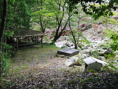 田舎暮らしをしながら最旬食材を全国のお客様に!!_a0254656_1935785.jpg