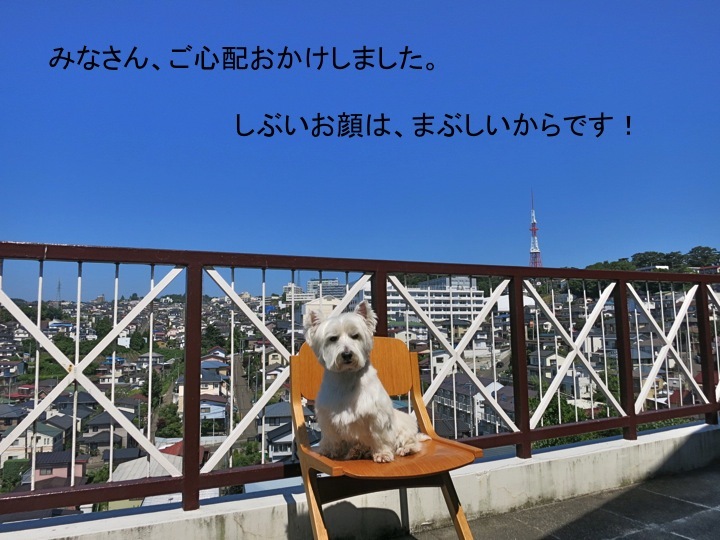 おしりもベランダも洗う日_c0260460_05220305.jpg