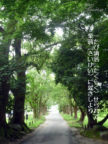 c0222861_2210132.jpg