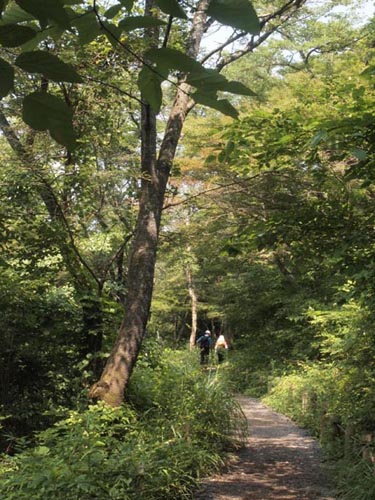 c0011862_17514640.jpg