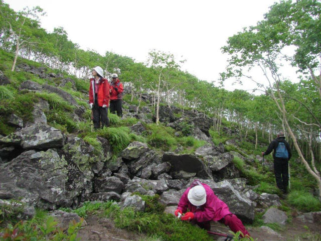 2015.6.25～7.10　北海道の山旅（前編）_c0219866_14364664.jpg