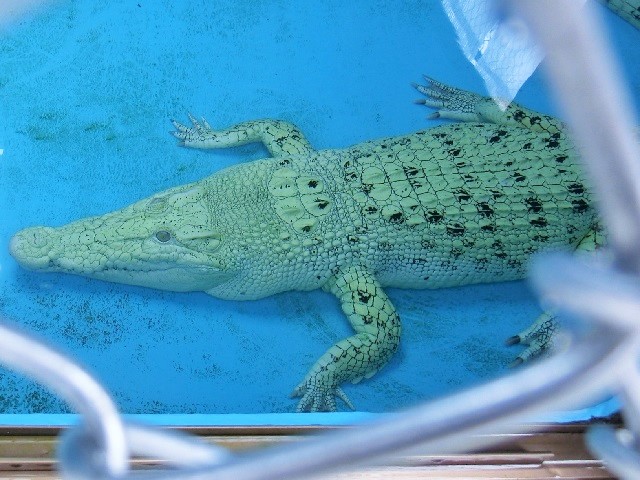 c0105569_244448.jpg