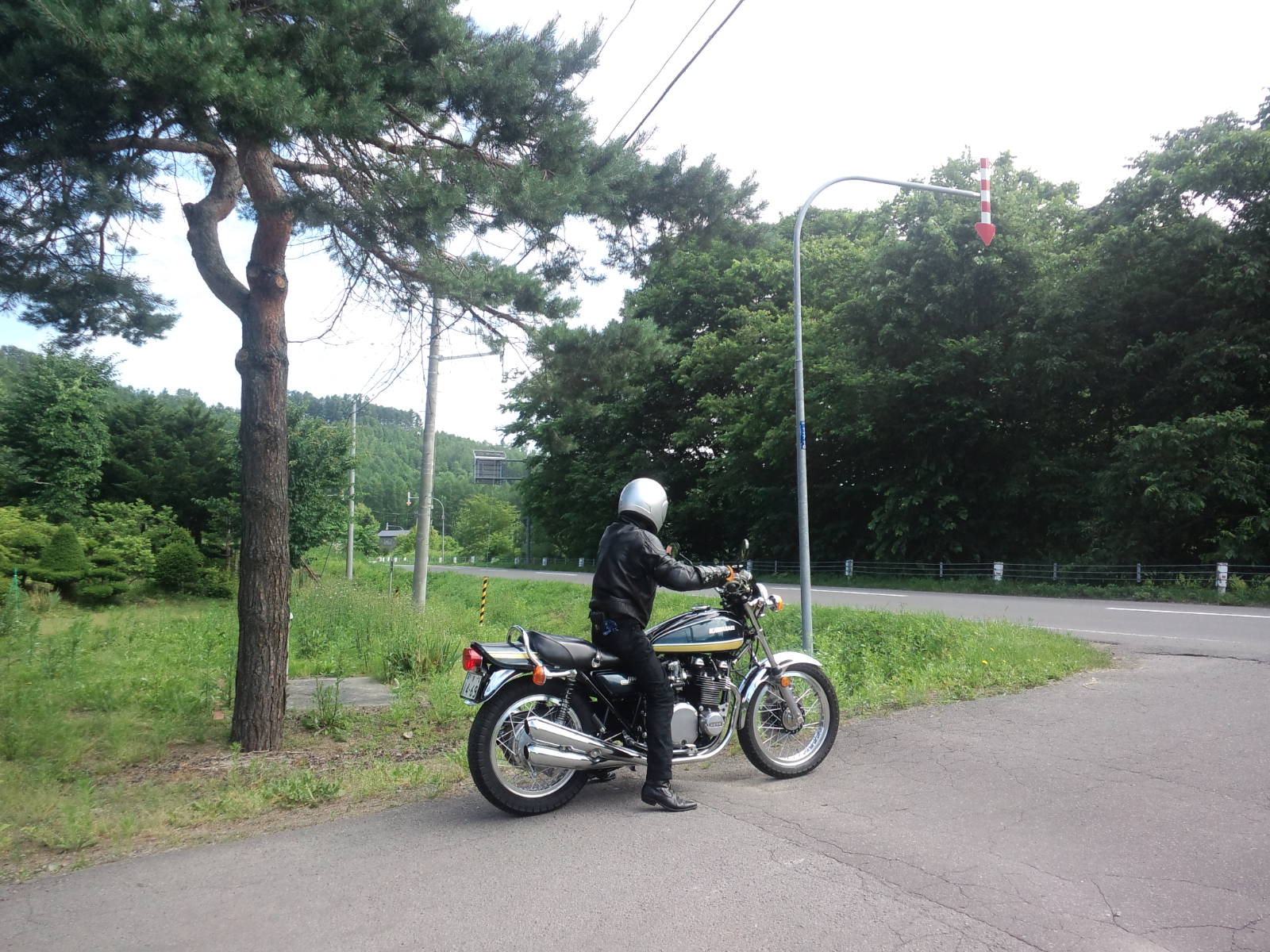 真夏に毛皮を着て走ると タイムトンネルのブログ 真夏に毛皮を着て走ると タイムトンネルのブログ