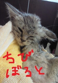 ☆お薬の飲み方☆_c0245679_15023102.jpg