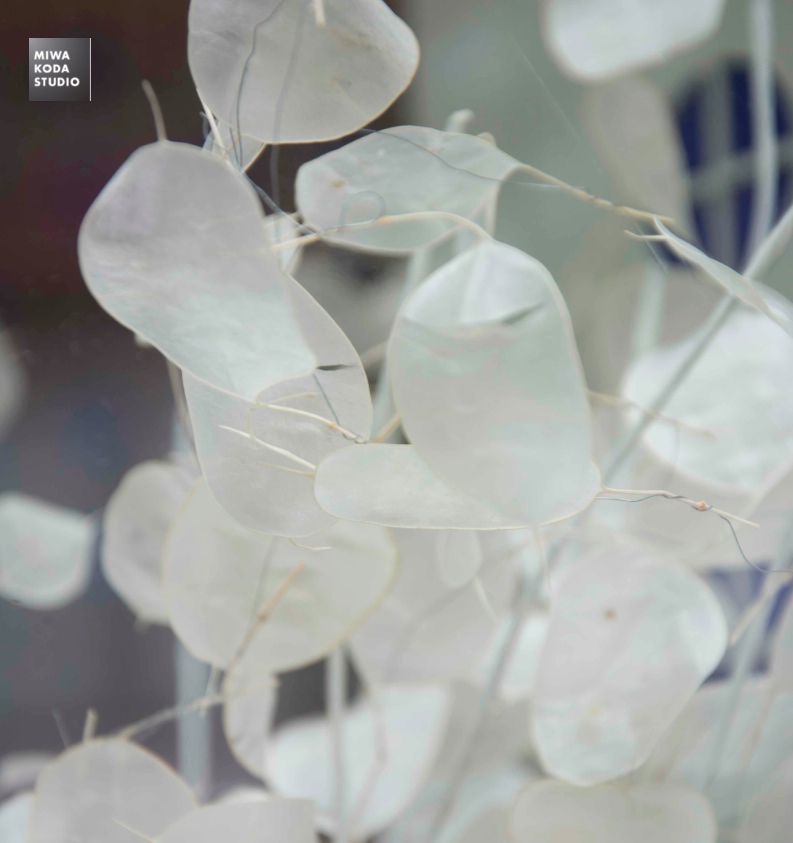 July 13, 2015 白の行動パターン Behavior Pattern of White_a0307186_14502415.jpg